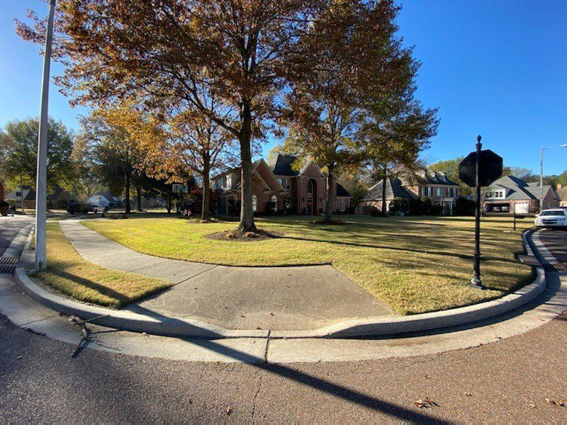Street corner with trees, lawn, and houses under a clear blue sky; autumn leaves.