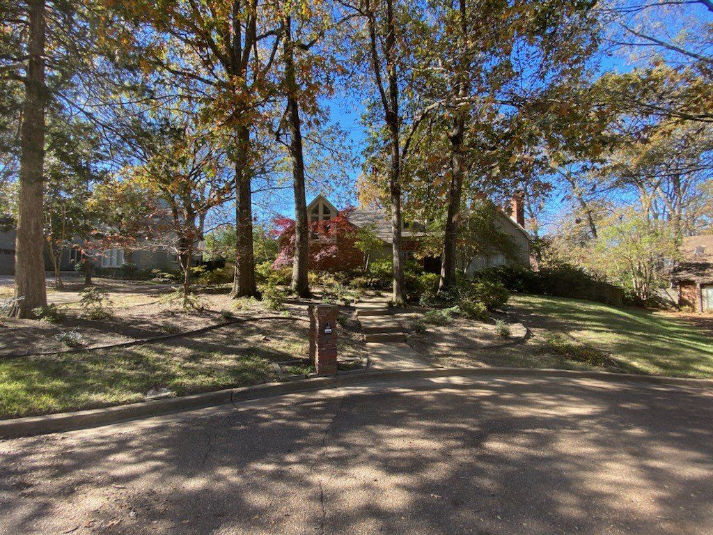 A house with a brick chimney behind trees in a sunny, tree-lined street.
