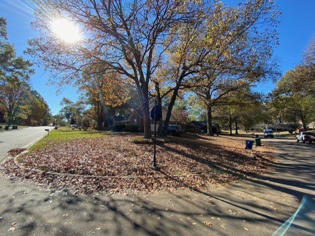 A neighborhood scene with autumn leaves; a pile of leaves in the foreground and trees with changing leaves.