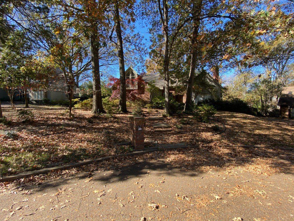 Street view with trees in fall foliage and houses in the background.