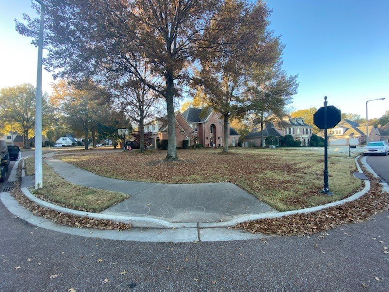 A residential street corner with a grassy median covered in fallen leaves and houses in the background.