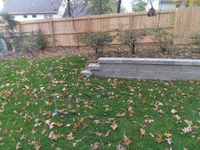 Green lawn covered in fallen leaves with a retaining wall and wooden fence in the background.