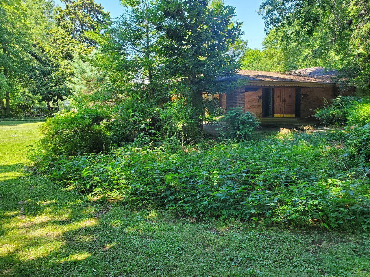 Overgrown green vegetation surrounds a low, brown building in a sunny outdoor setting.