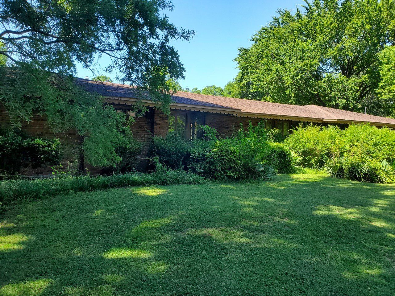 A long, low brick building partially obscured by green bushes and trees under a blue sky.