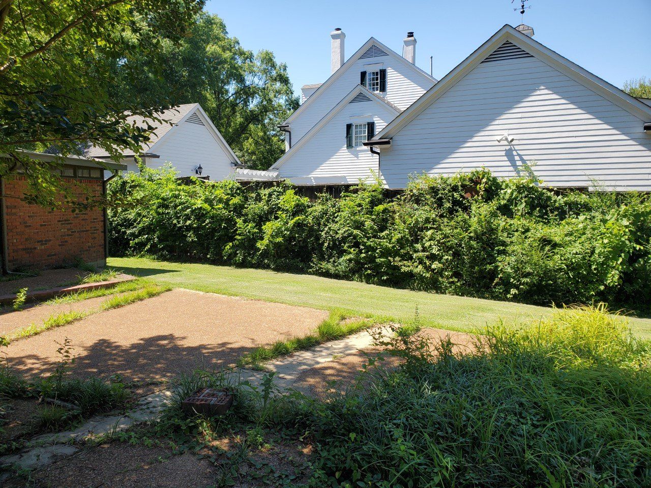Backyard with overgrown weeds, a brick structure on the left, and white houses in the background.