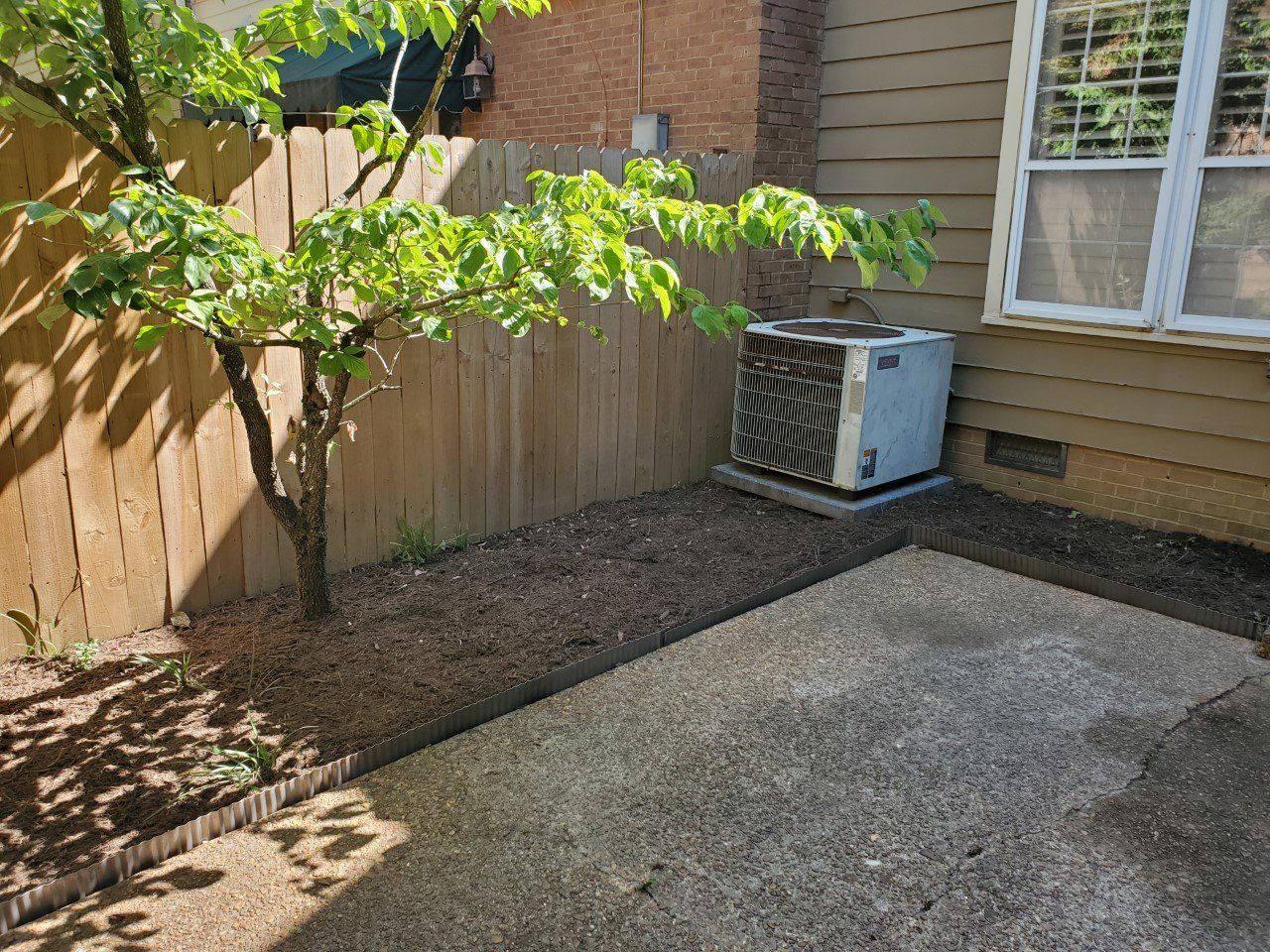 A small tree next to a wooden fence and concrete patio, with an AC unit against a building.