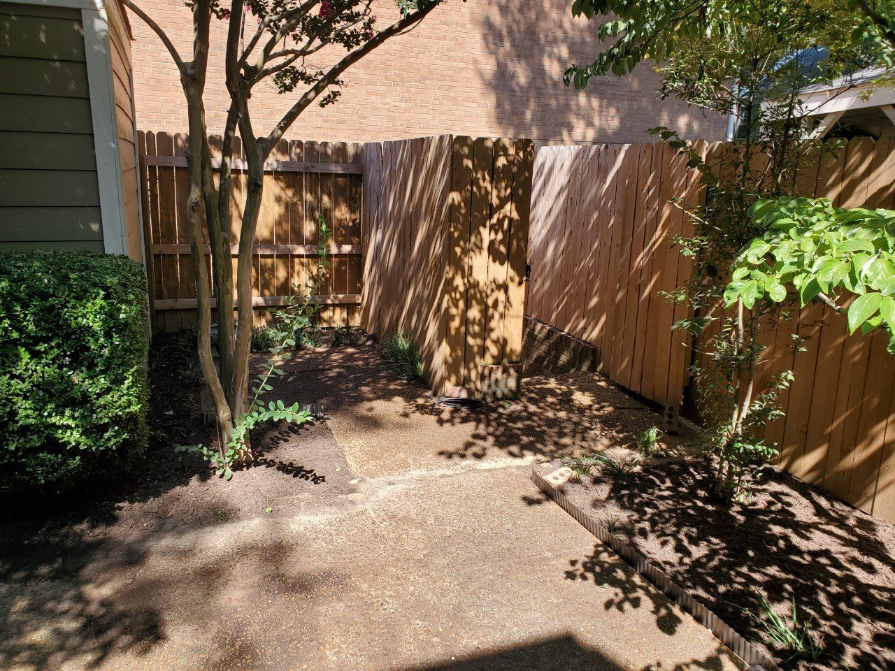 A small yard with a path, wooden fence, brown mulch, and a few plants under a tree.