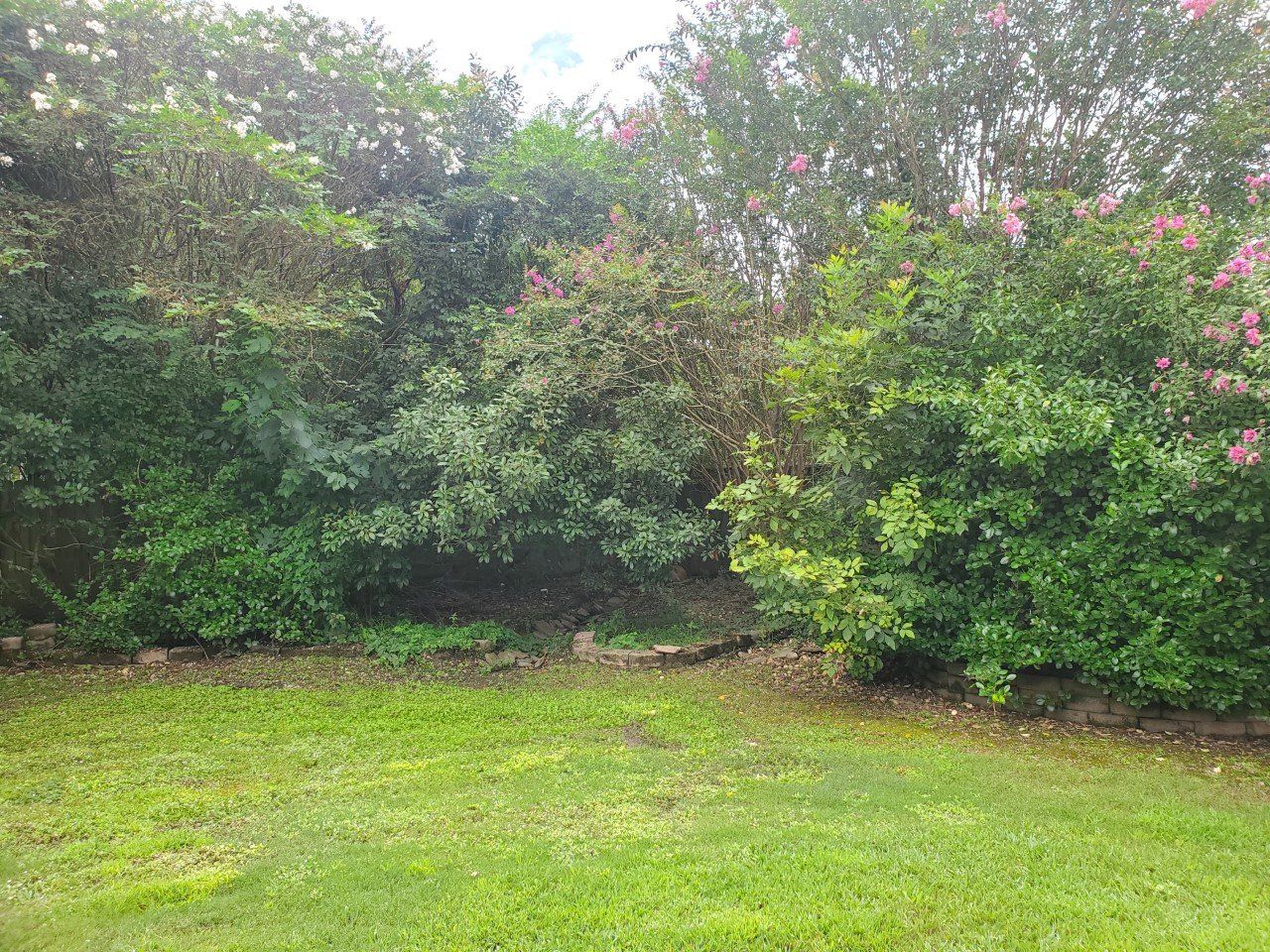 Lush green grass and foliage with pink flowers create a natural backdrop.