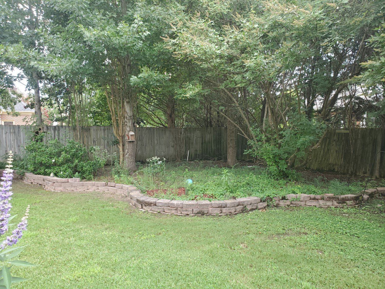 Lush backyard with a stone-edged flower bed, trees, and a wooden fence. Green grass and foliage dominate the scene.