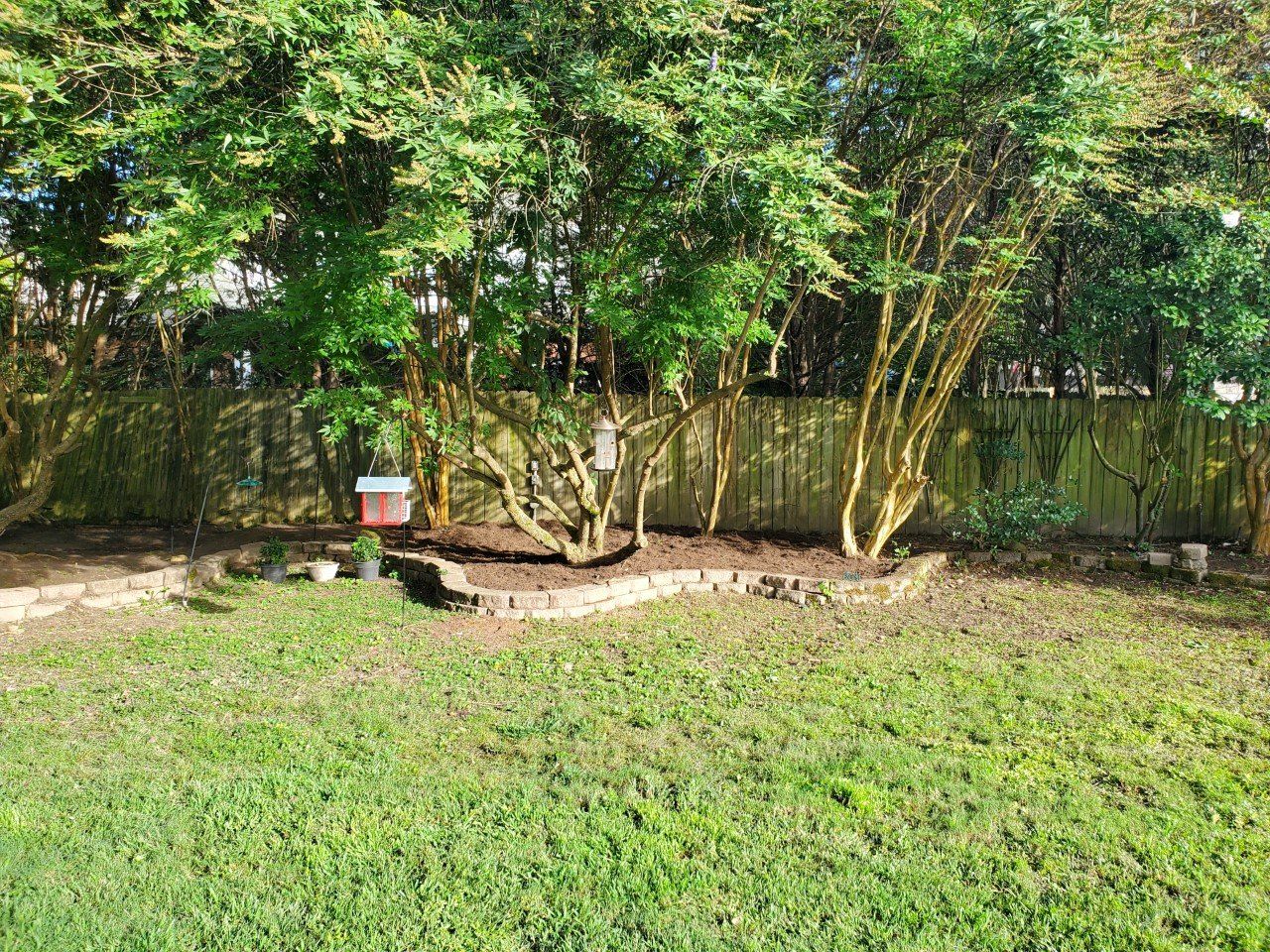 Green lawn, brown flower bed, yellow-trunked trees, and a wooden fence in a backyard.