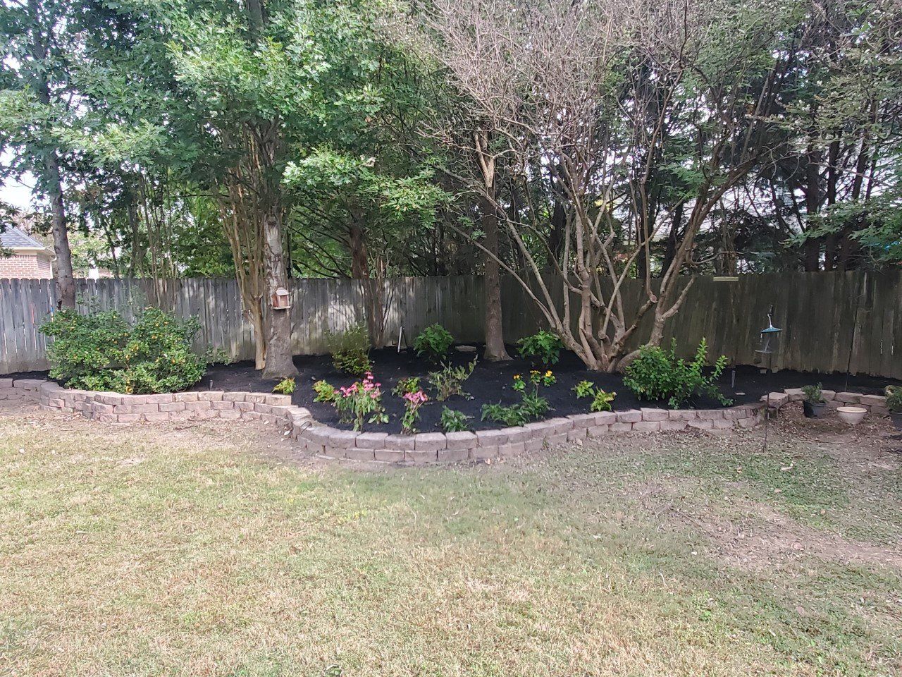 Backyard garden bed with flowers, dark mulch, and trees, bordered by a brick edge.