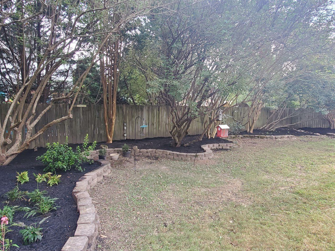 Backyard with mulched garden beds, trees, and a wooden fence.