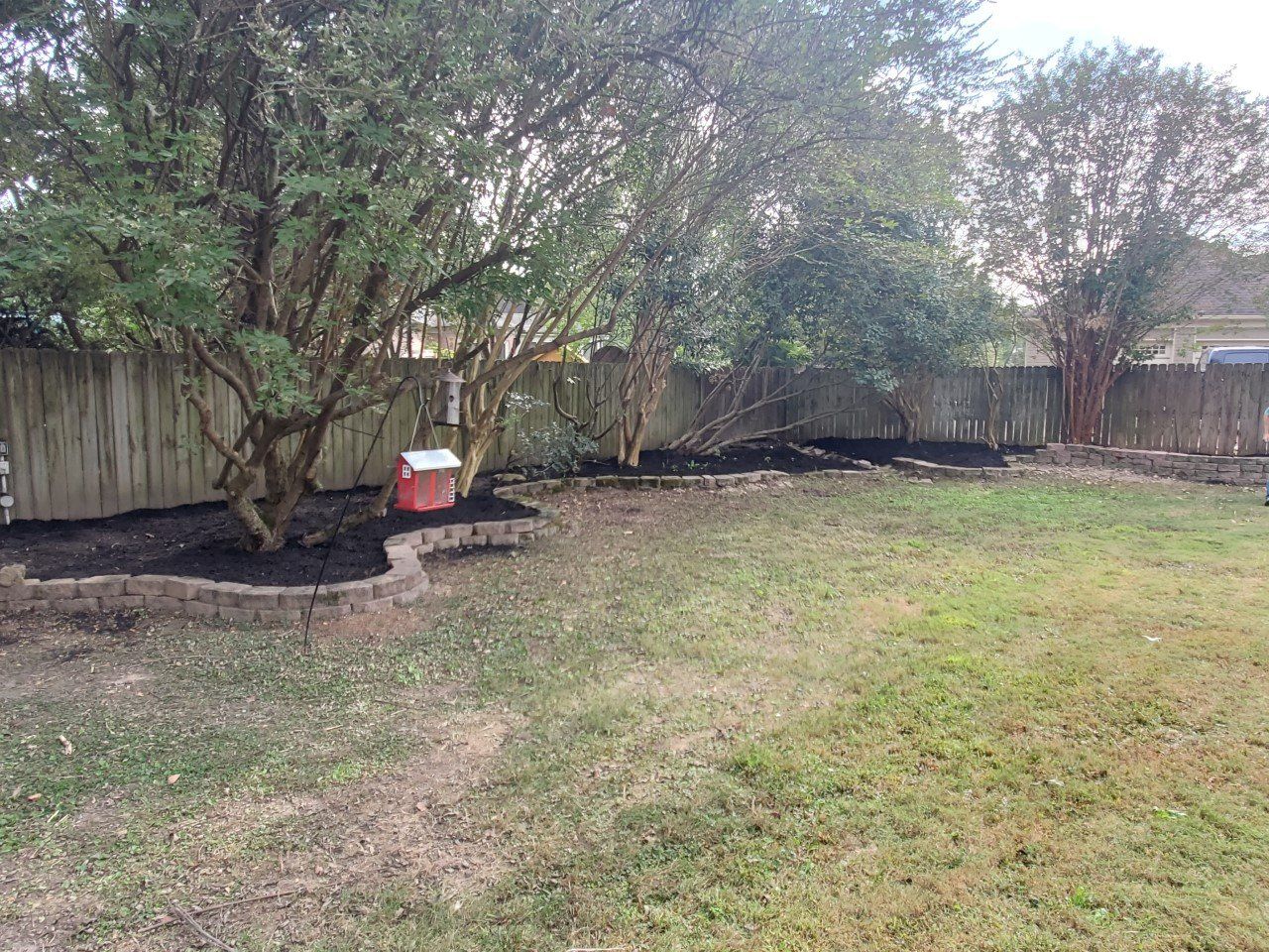 Backyard with trees, a fence, and a patch of dark mulch. A small red object sits near the tree.