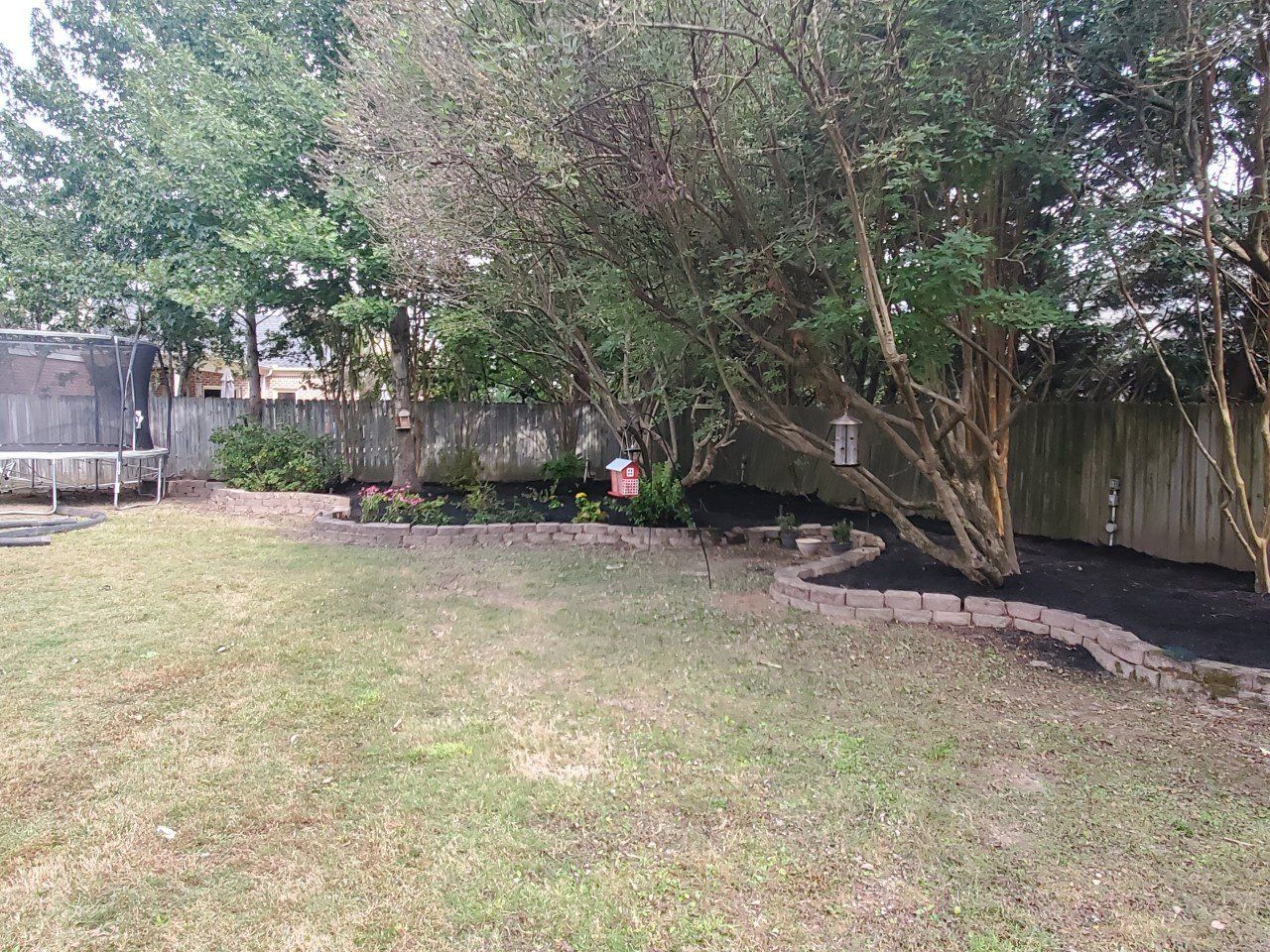 Backyard with grass, trees, mulch beds, and a trampoline against a wooden fence.