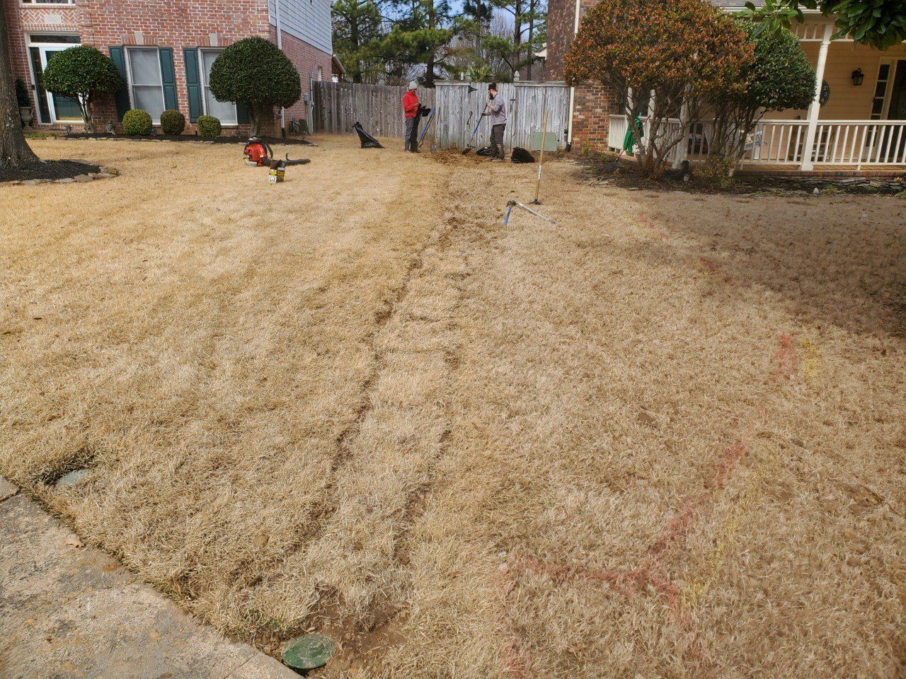 A dry lawn with two people working on it, a dog, and a house in the background.