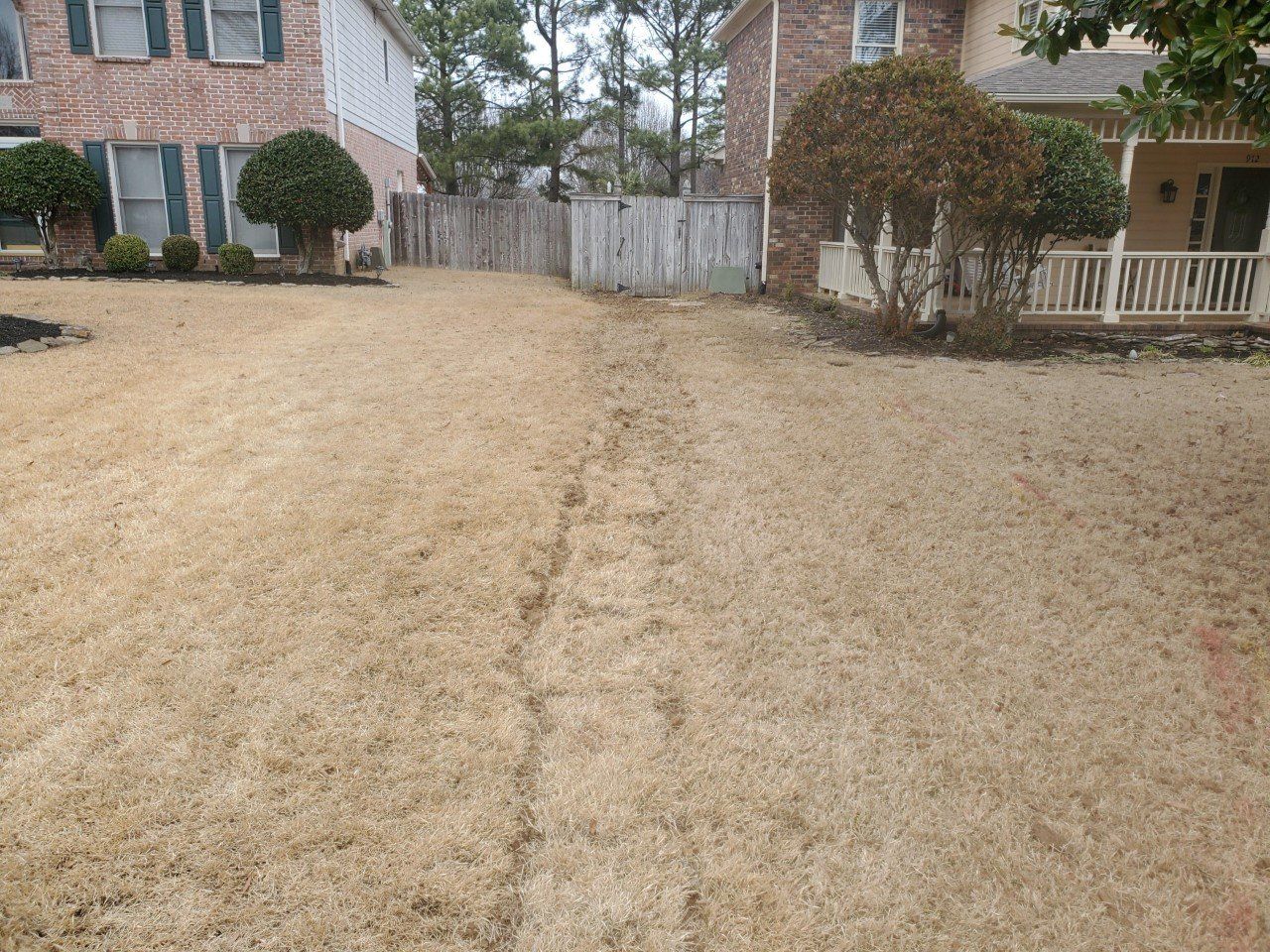 A brown lawn with a faint path between two houses and a weathered wooden fence in the background.