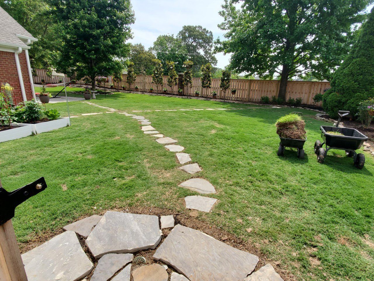Lawn with stone path, two wheelbarrows, trees, and a wooden fence.