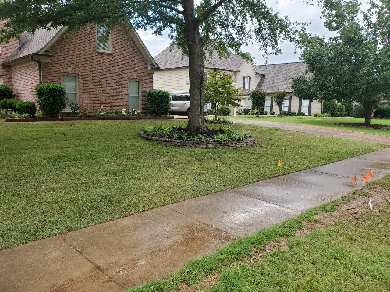 Residential street with houses, green lawns, a sidewalk, and a tree.