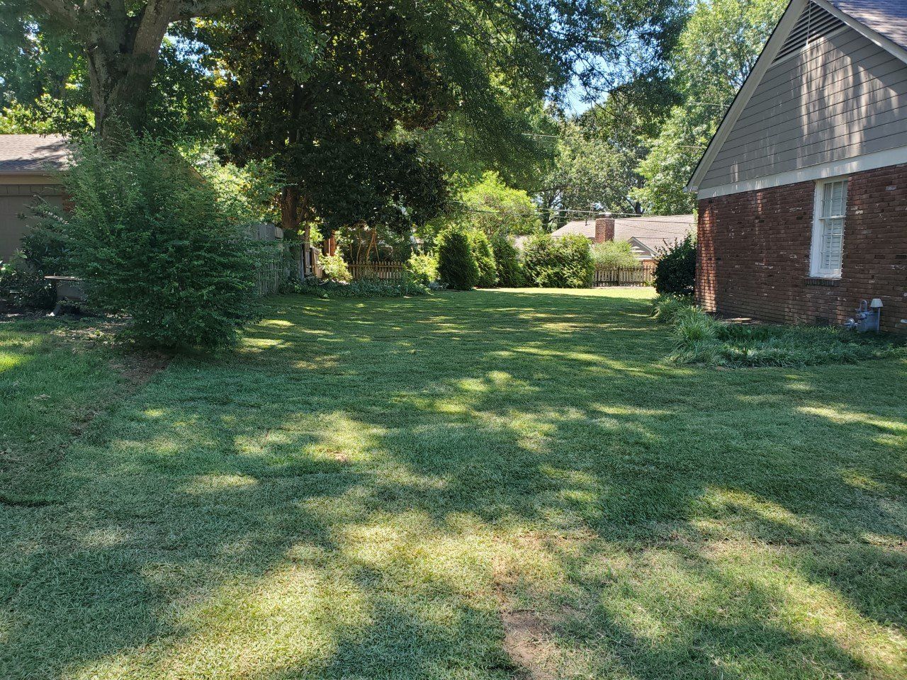 Lawn in a backyard with a house and trees under a sunny sky.
