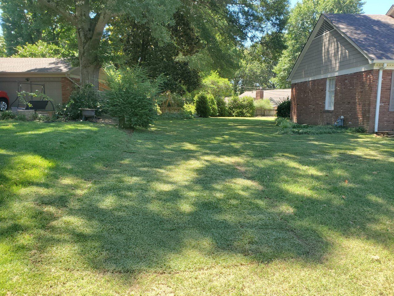 Green lawn in a backyard, shaded by trees, with a brick house and a garage in the background.