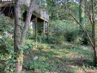 Overgrown backyard with a wooden deck, trees, and shrubs.