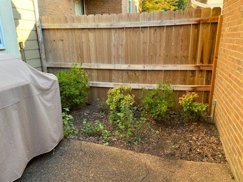 A small backyard area with a wooden fence and some small bushes growing in a dirt patch.