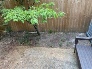 A small tree with green leaves next to a brown wooden fence and a patio chair.