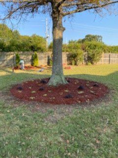 A tree trunk encircled by dark red mulch with surrounding green grass and a fence.