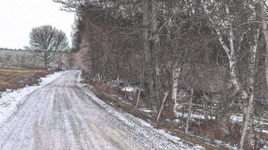 a dirt road going through a snowy forest in Braintree, VT