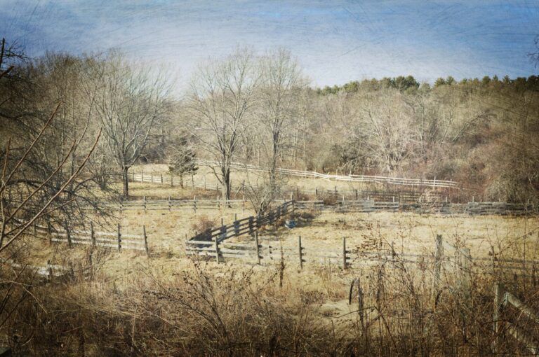 a wooden fence surrounds a field with trees in the background in Vermont