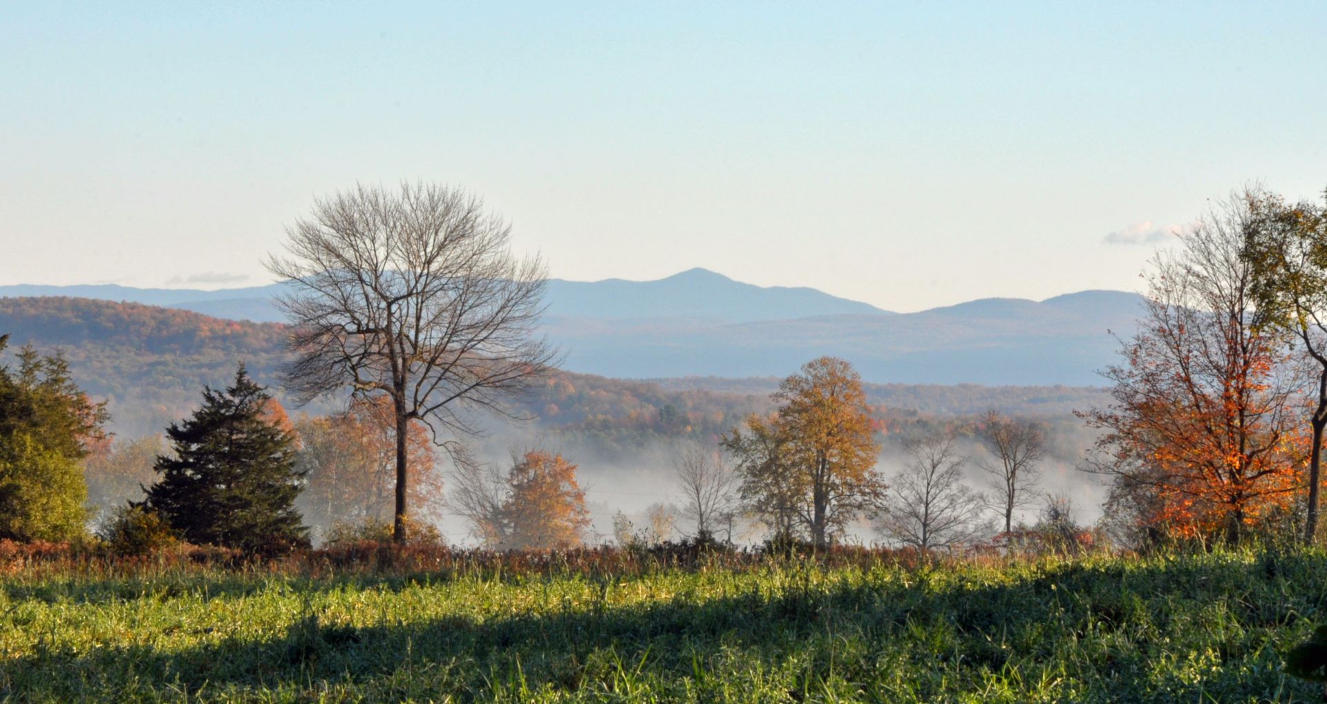 a field with trees and mountains in the background