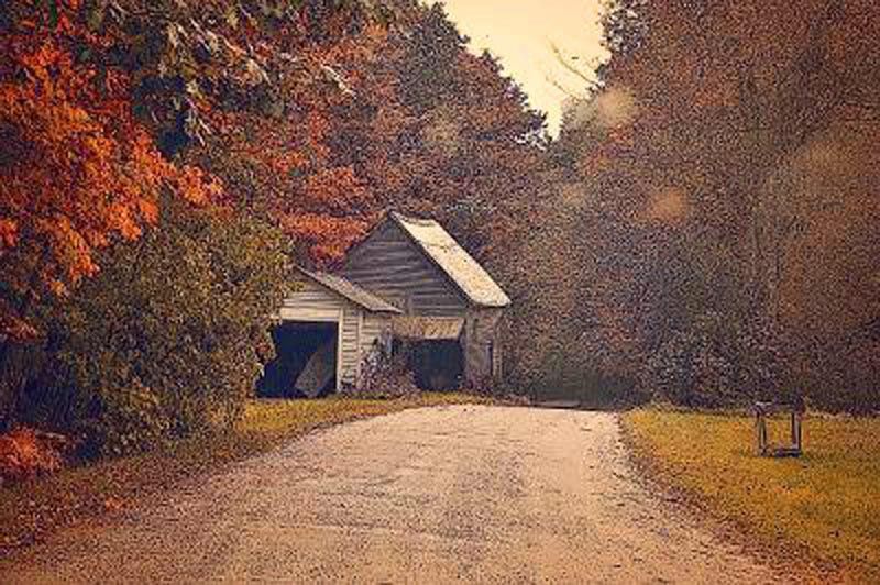 an old barn is sitting on the side of a dirt road surrounded by trees .