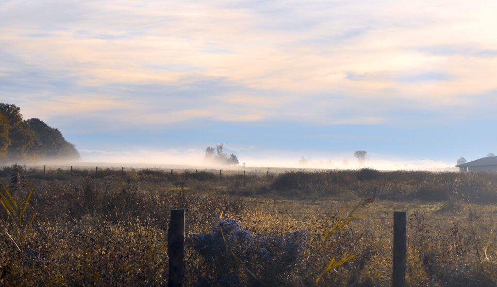 a foggy field with a fence in the foreground in Addison, VT