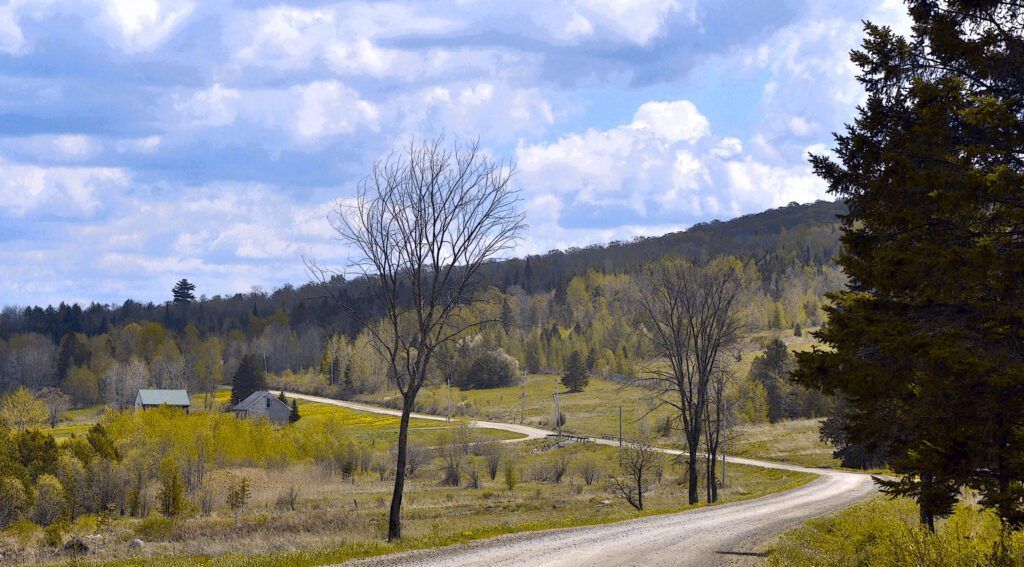 a dirt road winds through a lush green field