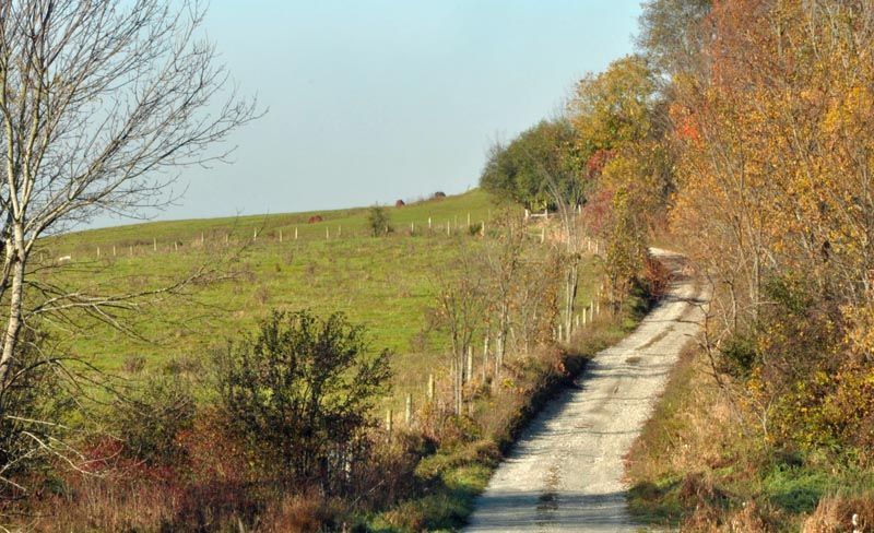 a dirt road going through a lush green field in Orwell, VT