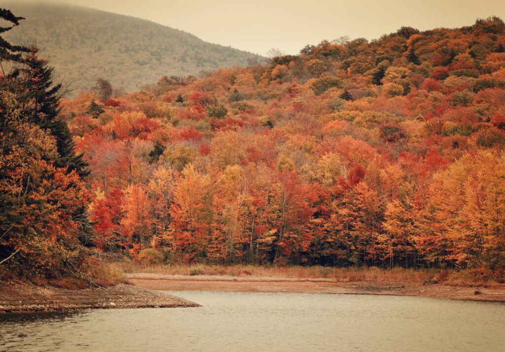 a lake surrounded by trees that are changing colors