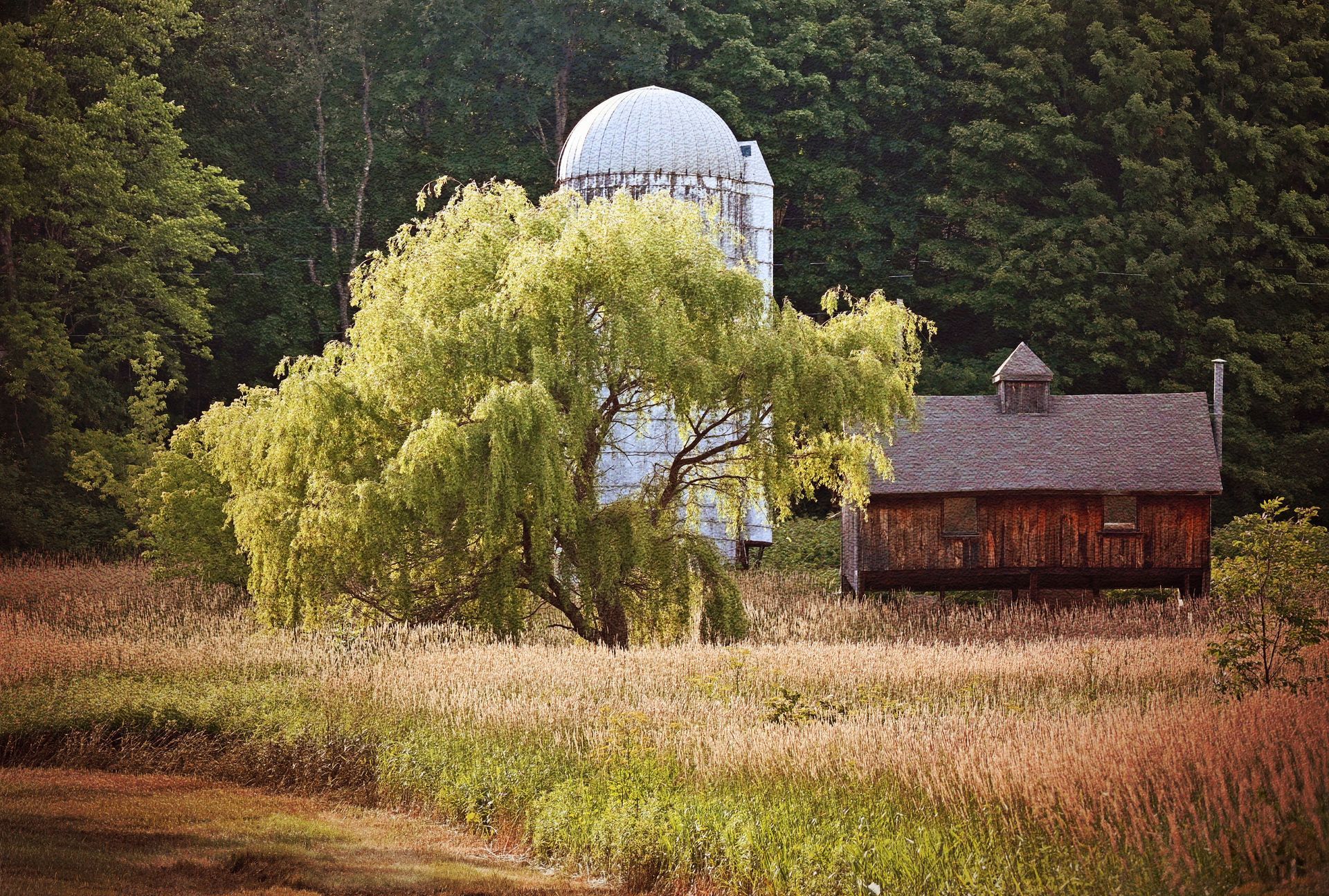 a barn with a silo in the background and a tree in the foreground