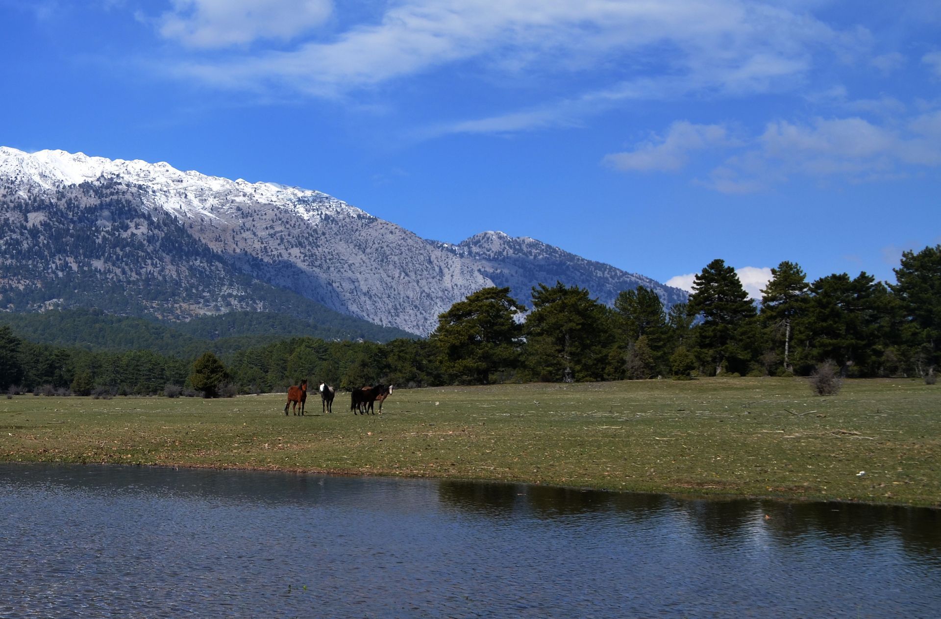 Ormana Tour Eynif Plains and wild horses - Antalya