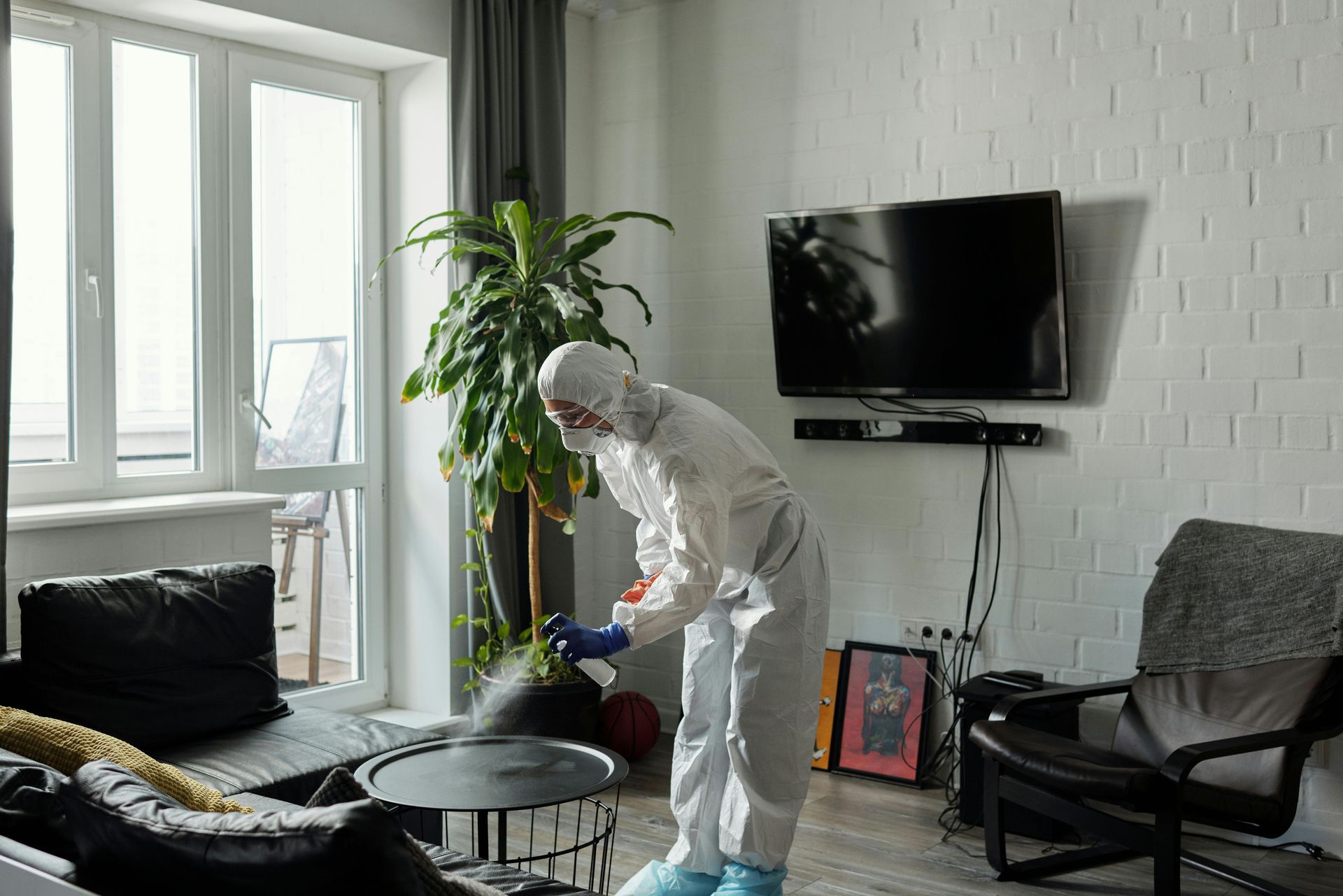 Person in hazmat suit spraying a coffee table in a living room.