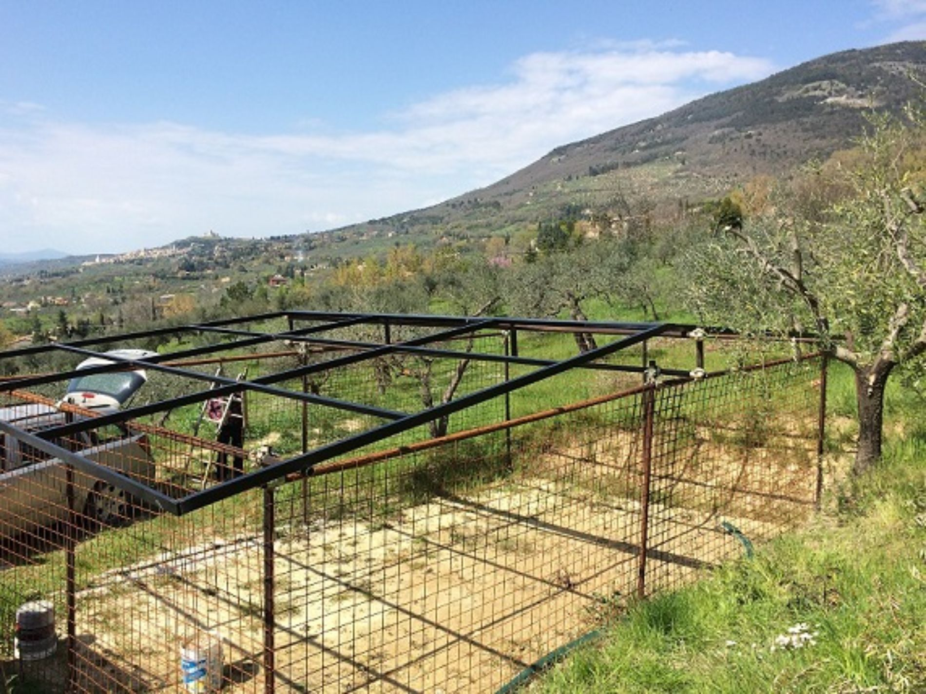 struttura in ferro battuto per azienda agricola