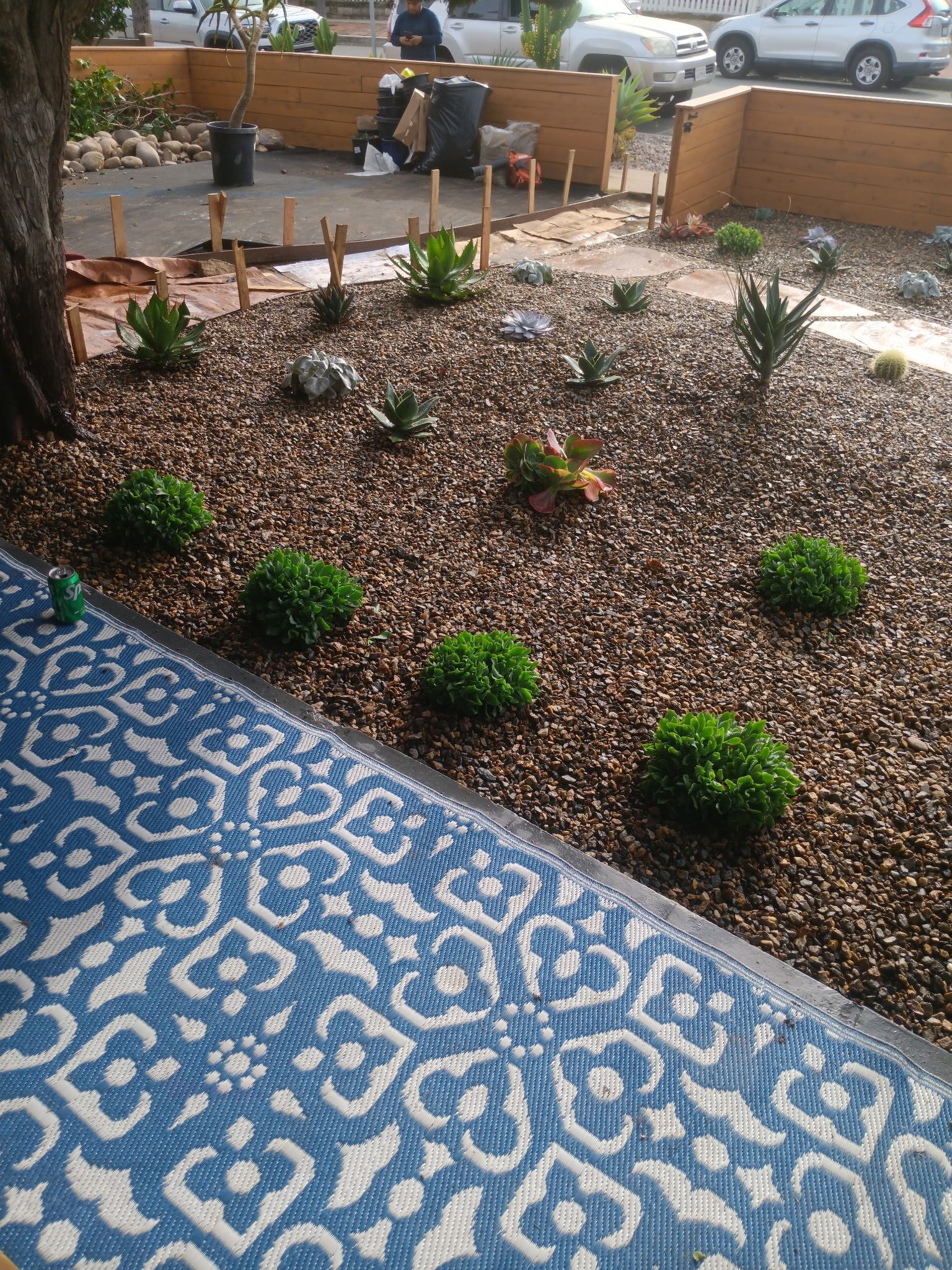 A garden bed with plants and brown rocks next to a blue and white patterned rug.