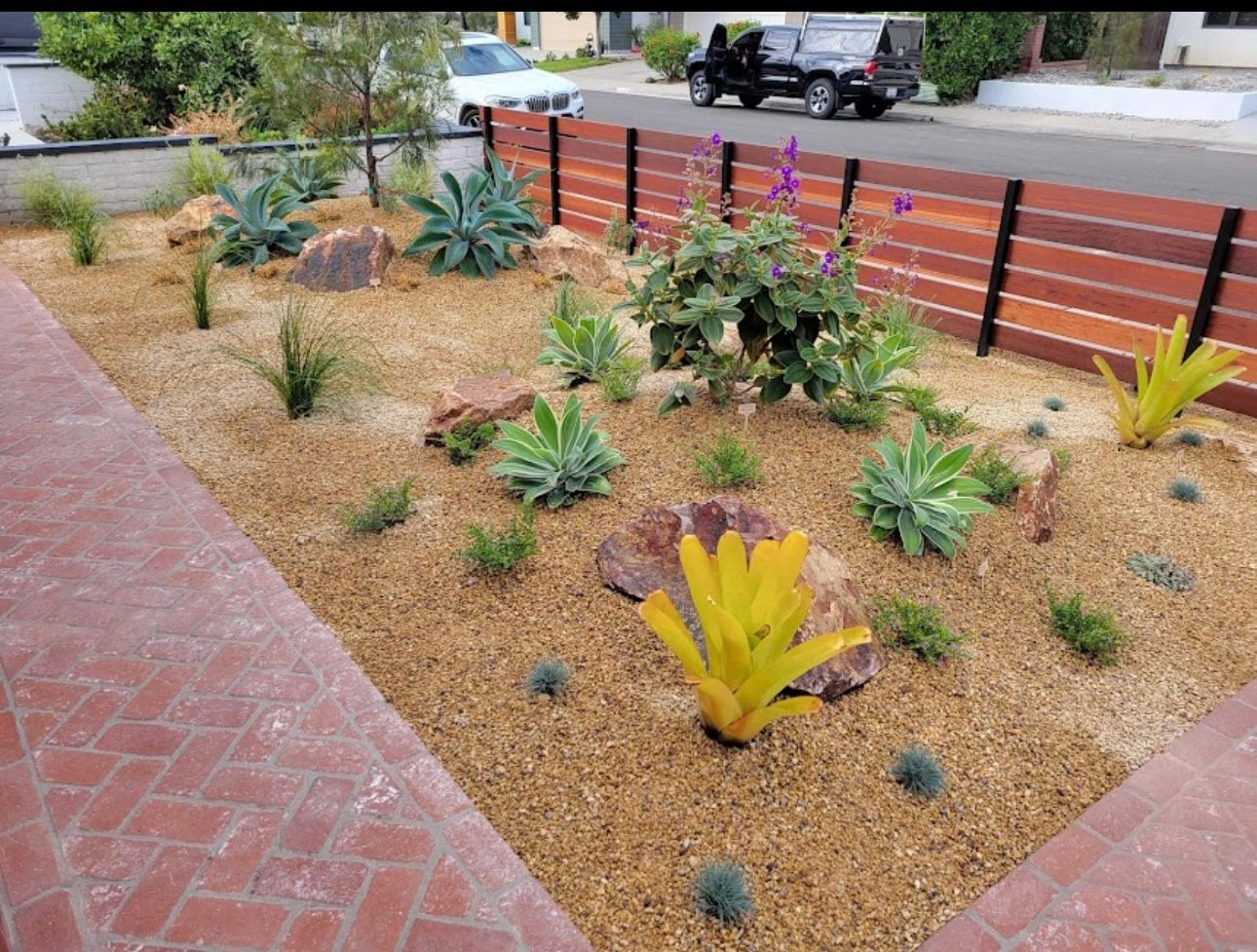 Front yard xeriscape with gravel, succulents, rocks, and a wooden fence.
