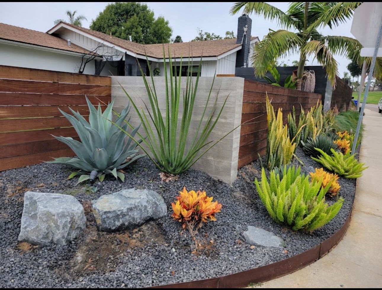 A drought-tolerant garden with succulents and large rocks in front of a modern house.