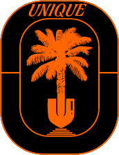 A rectangular orange and black logo featuring an orange palm tree growing out of a shovel base, with the word
