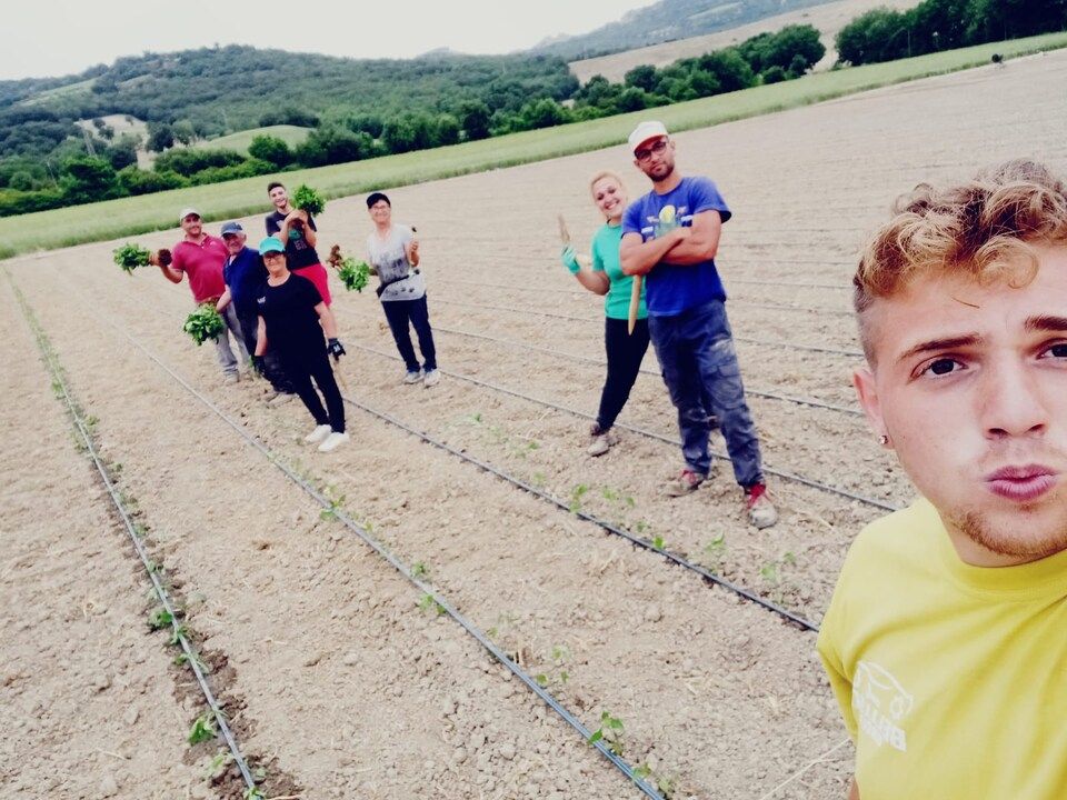 Coltivazione di prodotti