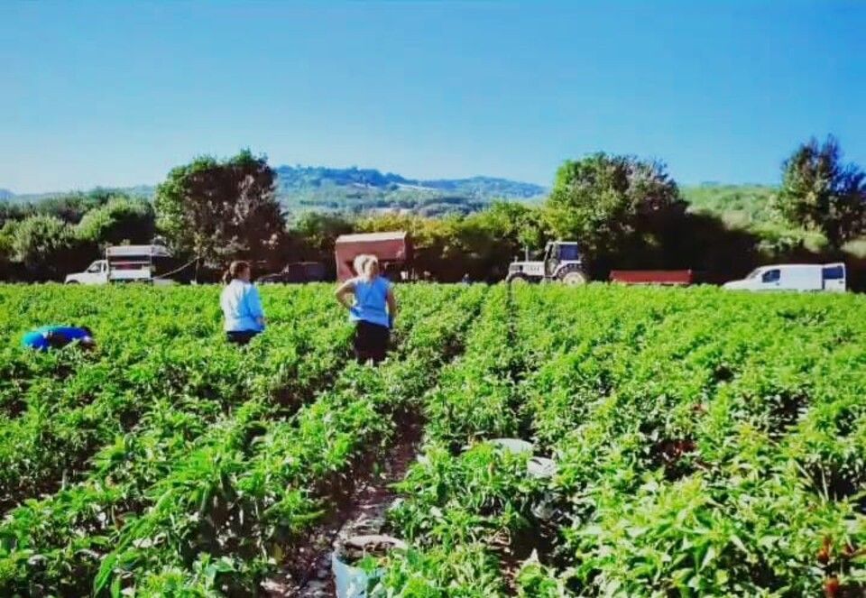 Azienda agricola a chilometro zero