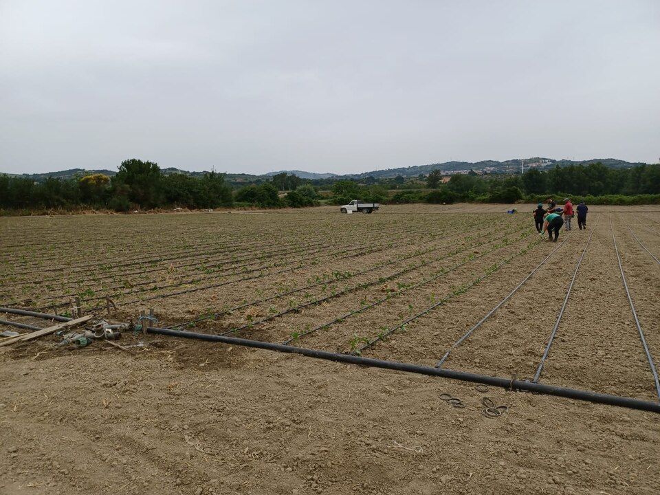 Azienda agricola a conduzione famigliare