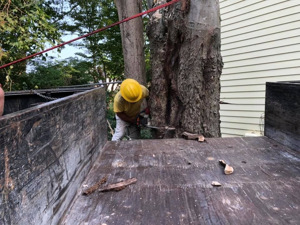 photos of the crew at pro-turf working on outdoor projects