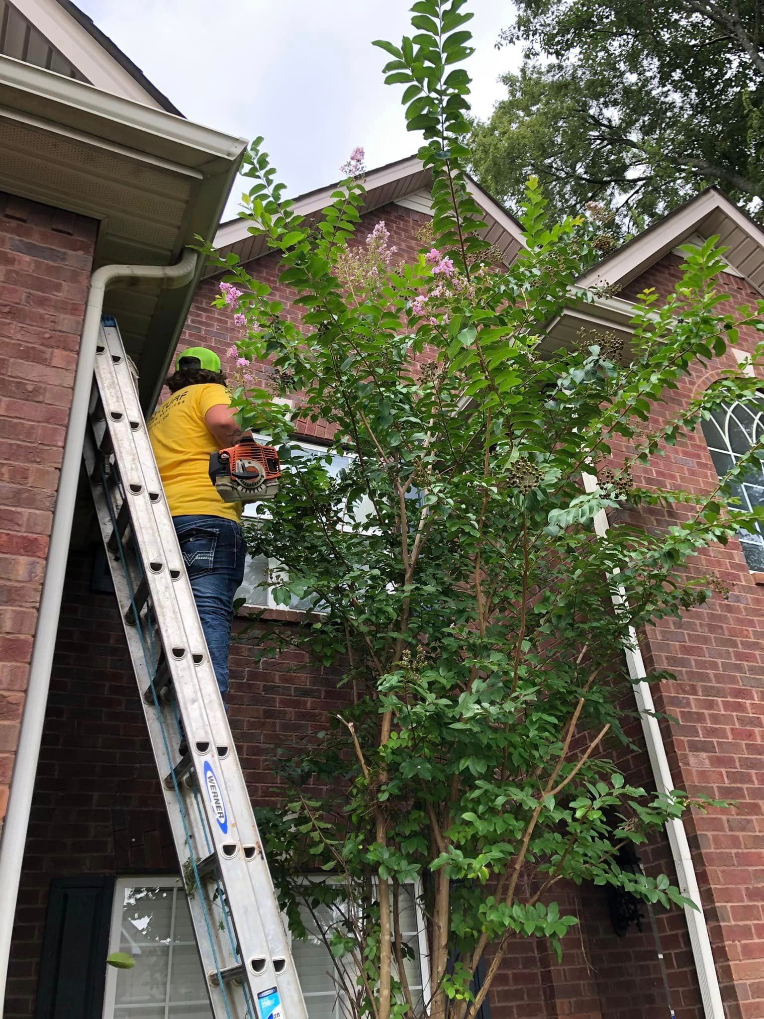 photos of the crew at pro-turf working on outdoor projects