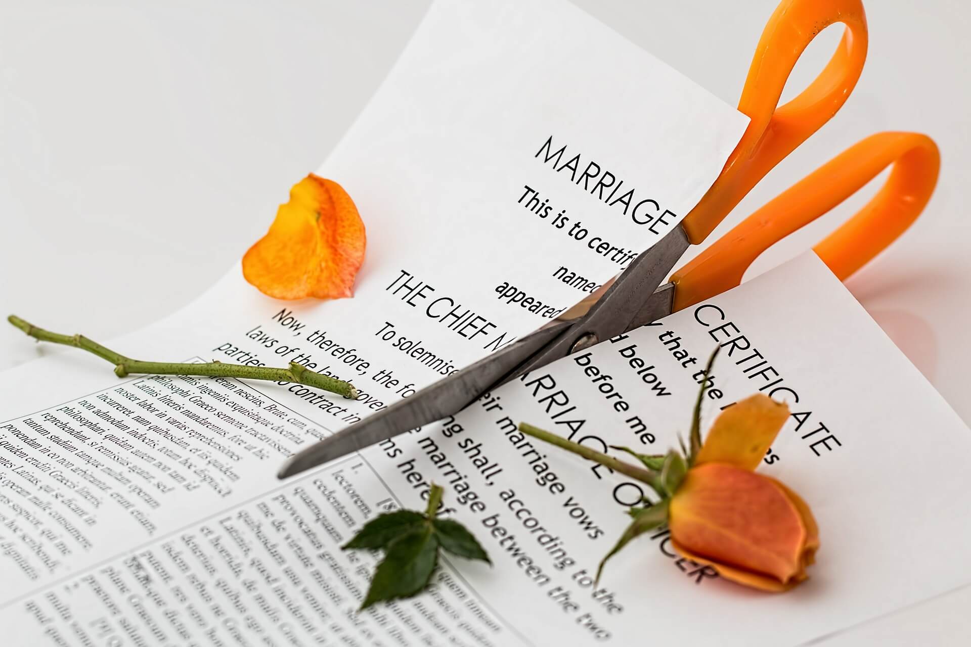 Scheidungungsablauf Recht